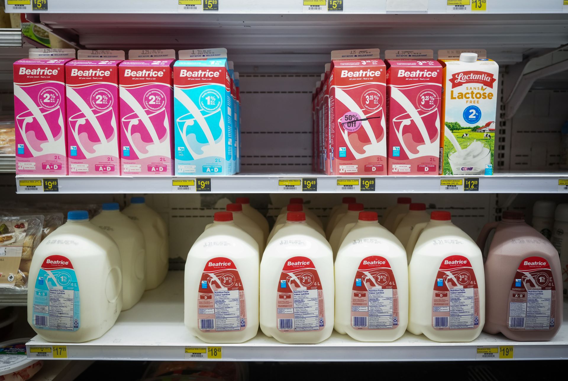 Jugs and cartons of milk are displayed for sale on shelves, with the price tags below them: more than $9 for two litres; $18 for four.