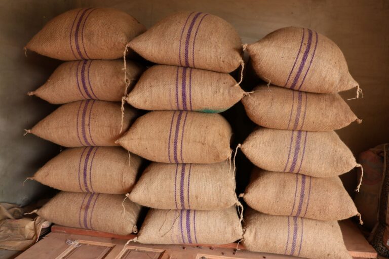 Three stacks of burlap sacks hold 15 bags of beans.