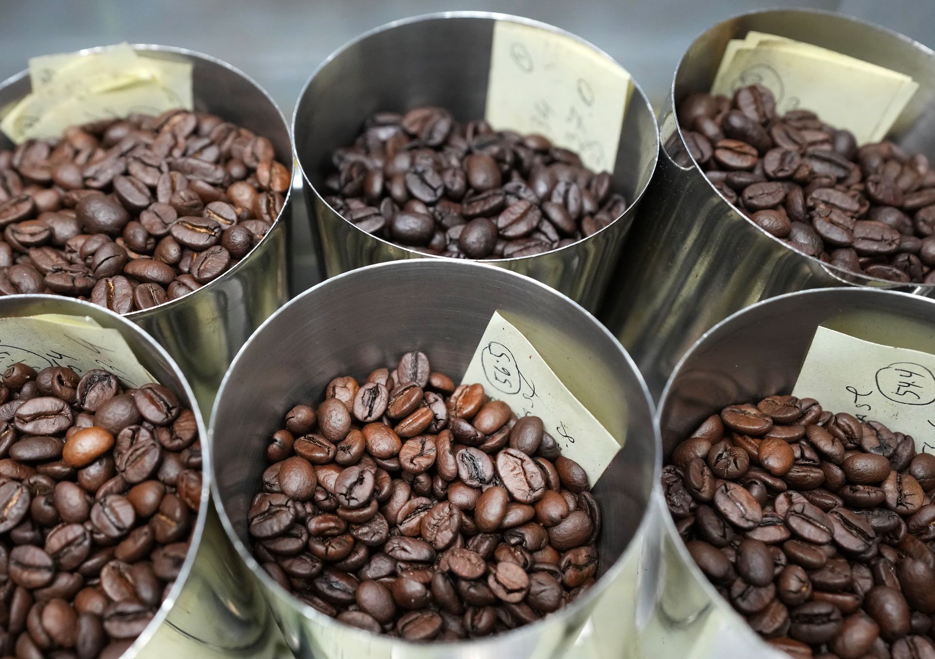 Six metal cannisters hold dark roasted coffee beans.