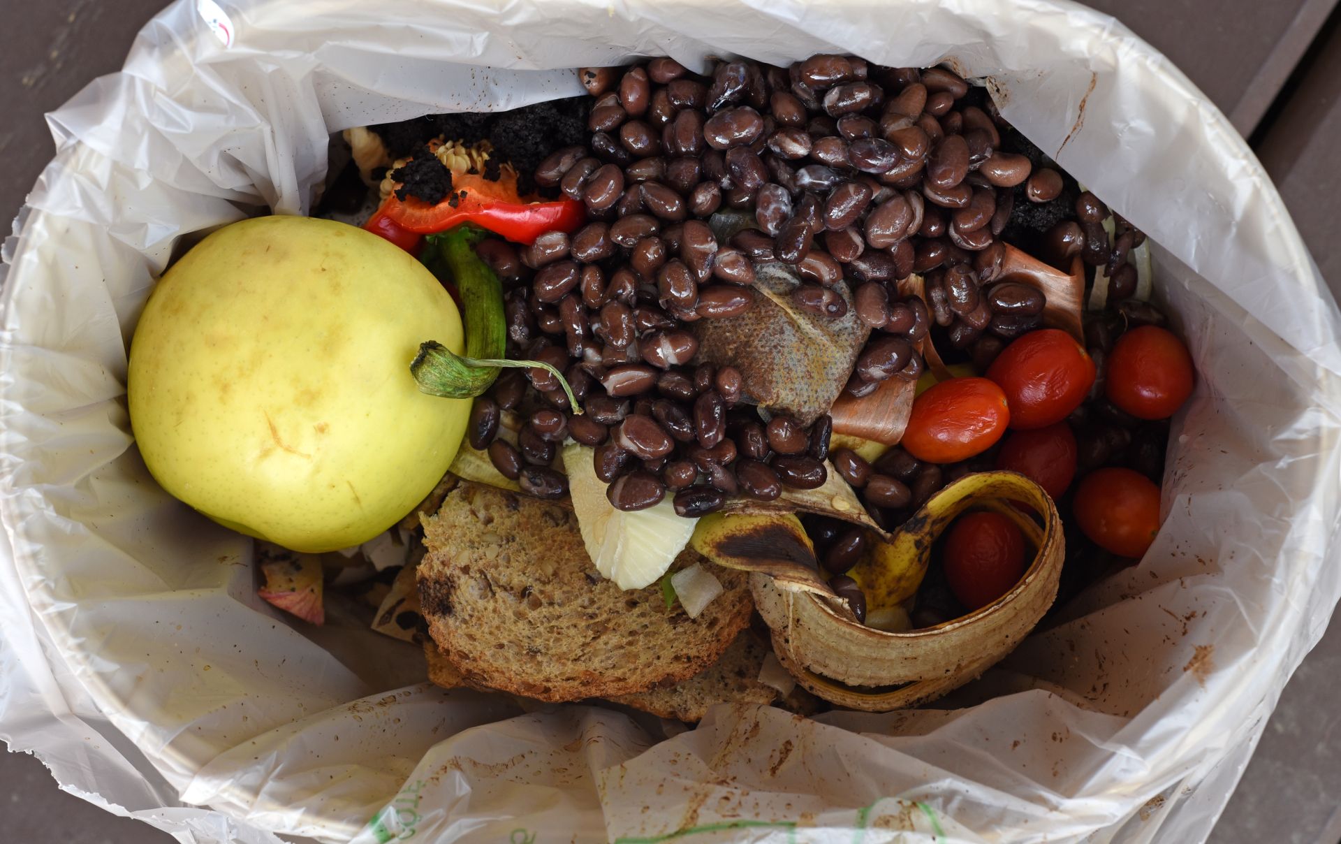 Beans, fruit, tomatoes and bread in a waste bag.