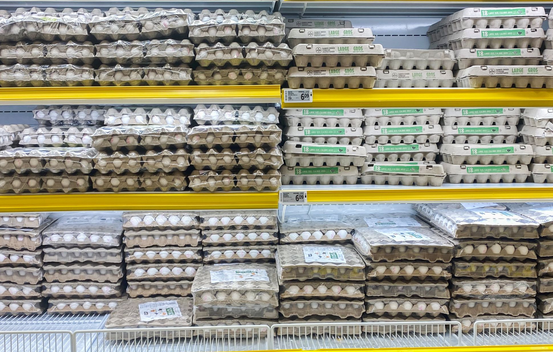 Des boîtes de douzaines d'oeufs étalées sur une tablette d'épicerie.