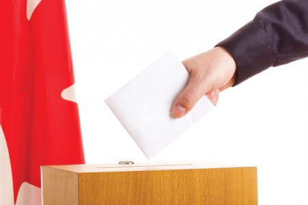 Image for Recommended reading on mandatory voting