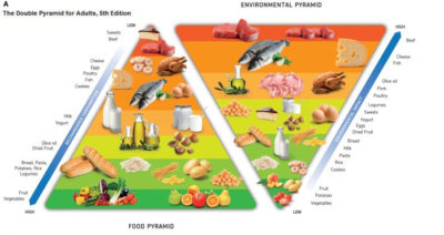 Canada’s Food Guide update needs to address sustainability