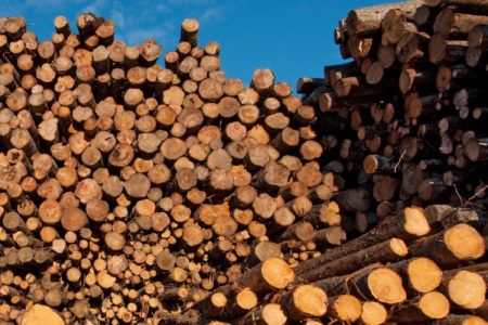 Image for Learning from the 2017 softwood lumber dispute