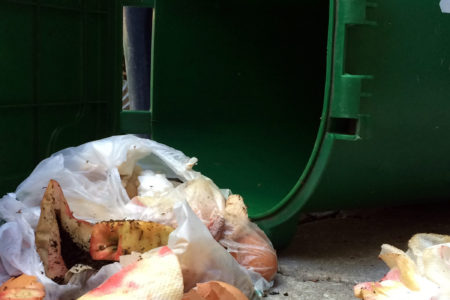 Image for Solving Canada’s food waste problem
