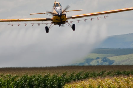 Image for Quebec takes action on regulating pesticides