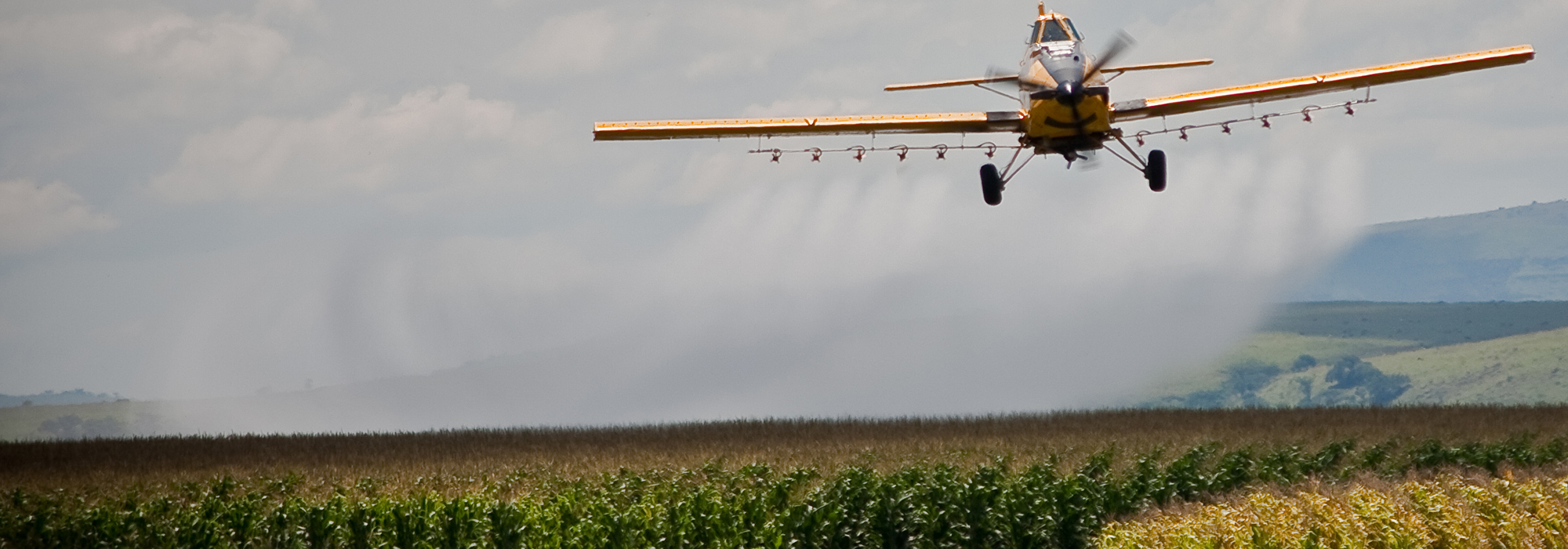 Quebec takes action on regulating pesticides