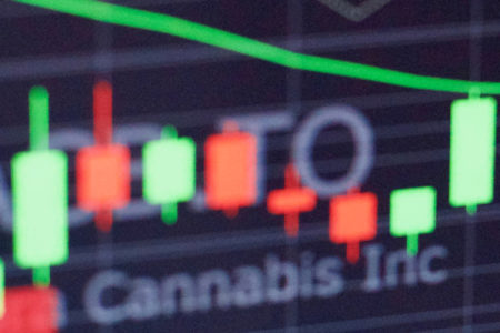 Image for La logique financière imposera sa loi au marché du cannabis