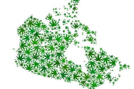 Image for The Economics of Canadian Cannabis