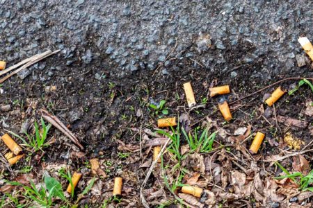 Image for Vaping’s overlooked upside: no cigarette butts