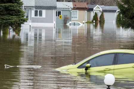 Image for Les municipalités du Québec face aux inondations