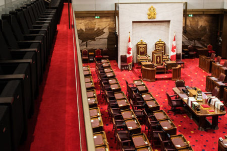Image for The renewed Canadian Senate