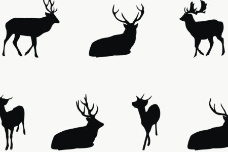 Image for Food protection agency’s approach to chronic wasting disease is immoral