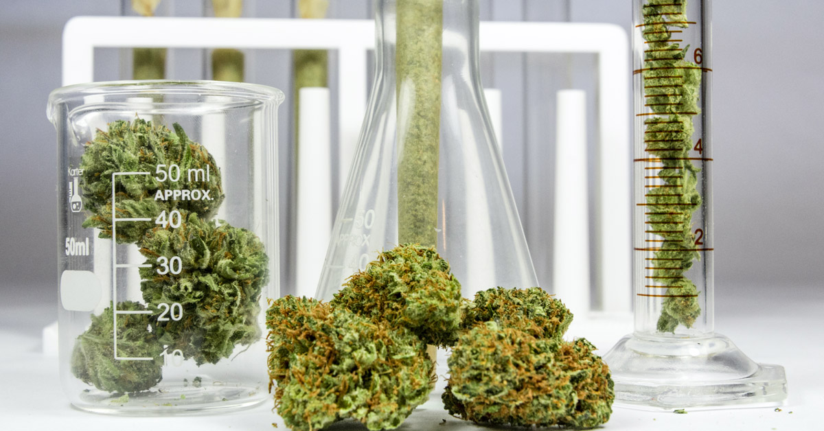 Eliminate restrictions preventing cannabis research