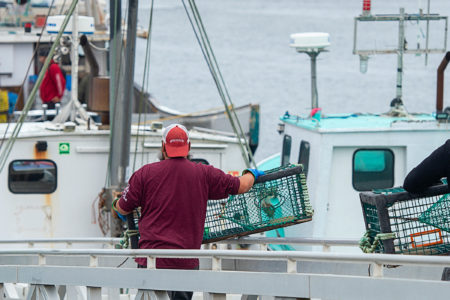 Image for Moving forward on lobster fishery means addressing access and conservation