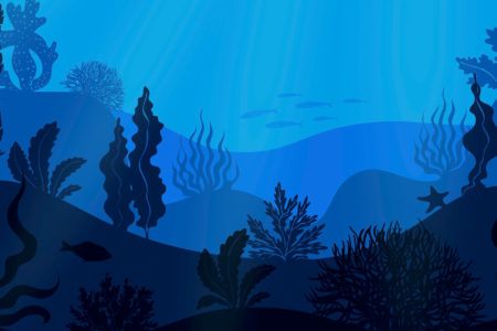 Image for A green transition should prioritize the ocean’s carbon sinks over deep-sea mining