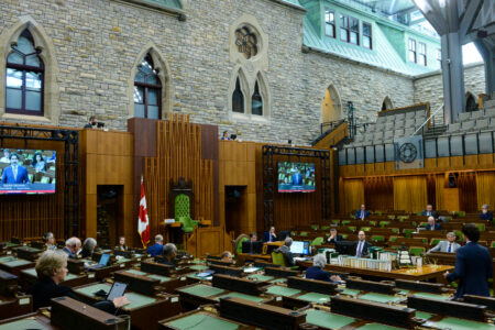 Image for A proper hybrid Parliament would help expand gender-sensitive representation