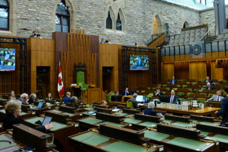 Image for Pour un véritable Parlement hybride