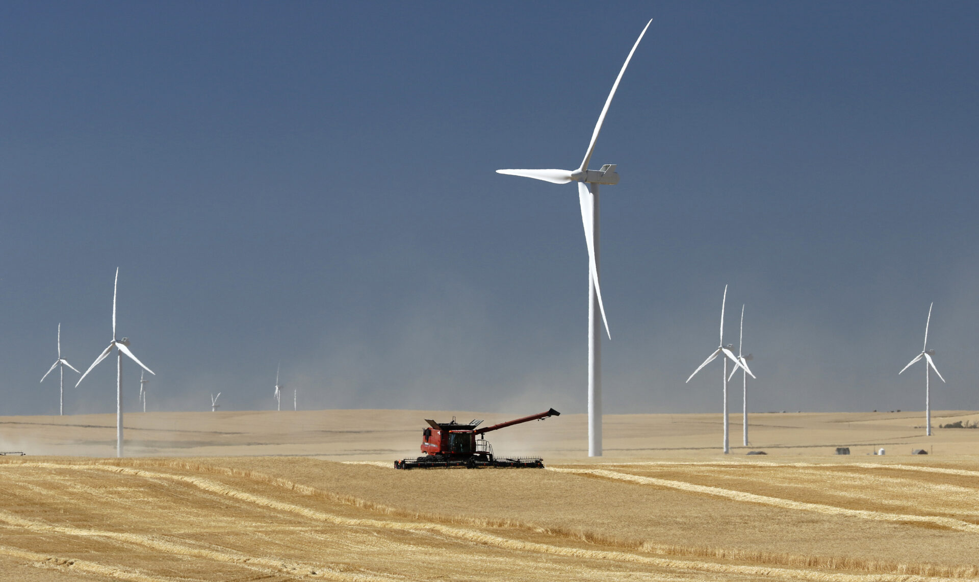 The combine crosses the middle of a golden field with dust rising from the ground. Dozens of tall, white turbines dot the landscape. The sky is dark blue without clouds. A bit of a surreal-looking landscape. 