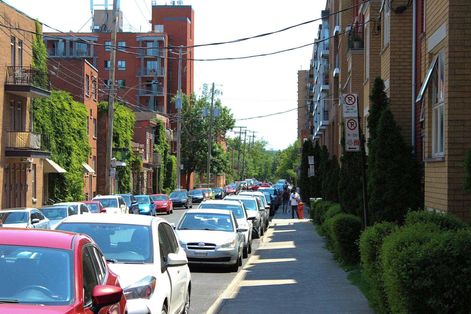 On a residential street, both sides are lined with a row of parked cars.