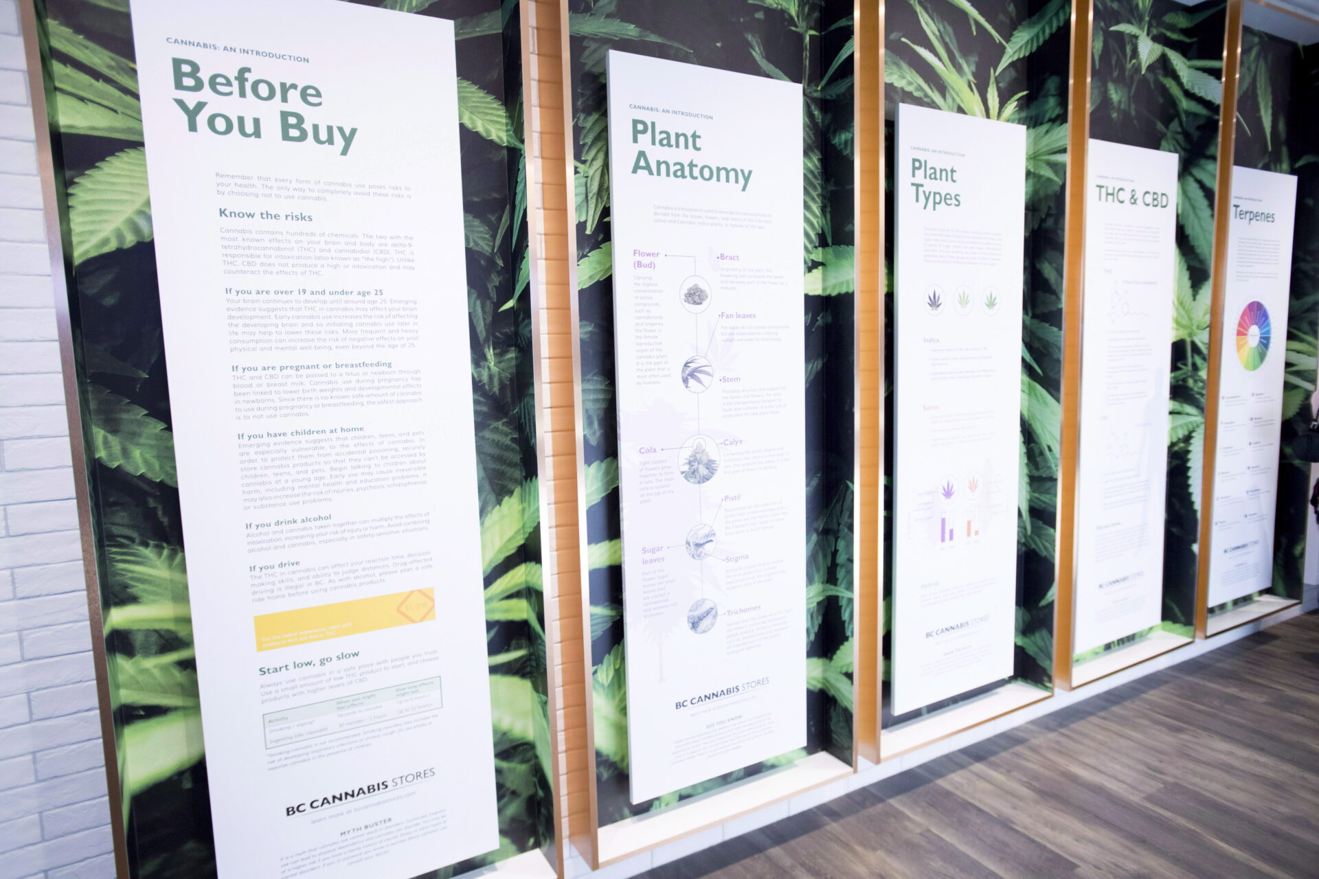 Five tall white panels line the walls and are filled with information about cannabis. Each panel is framed by a background of cannabis leaves. 