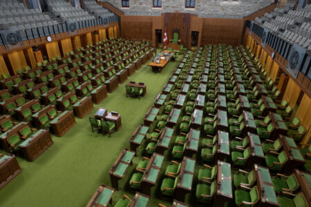 Image for Les importants piliers des parlementaires