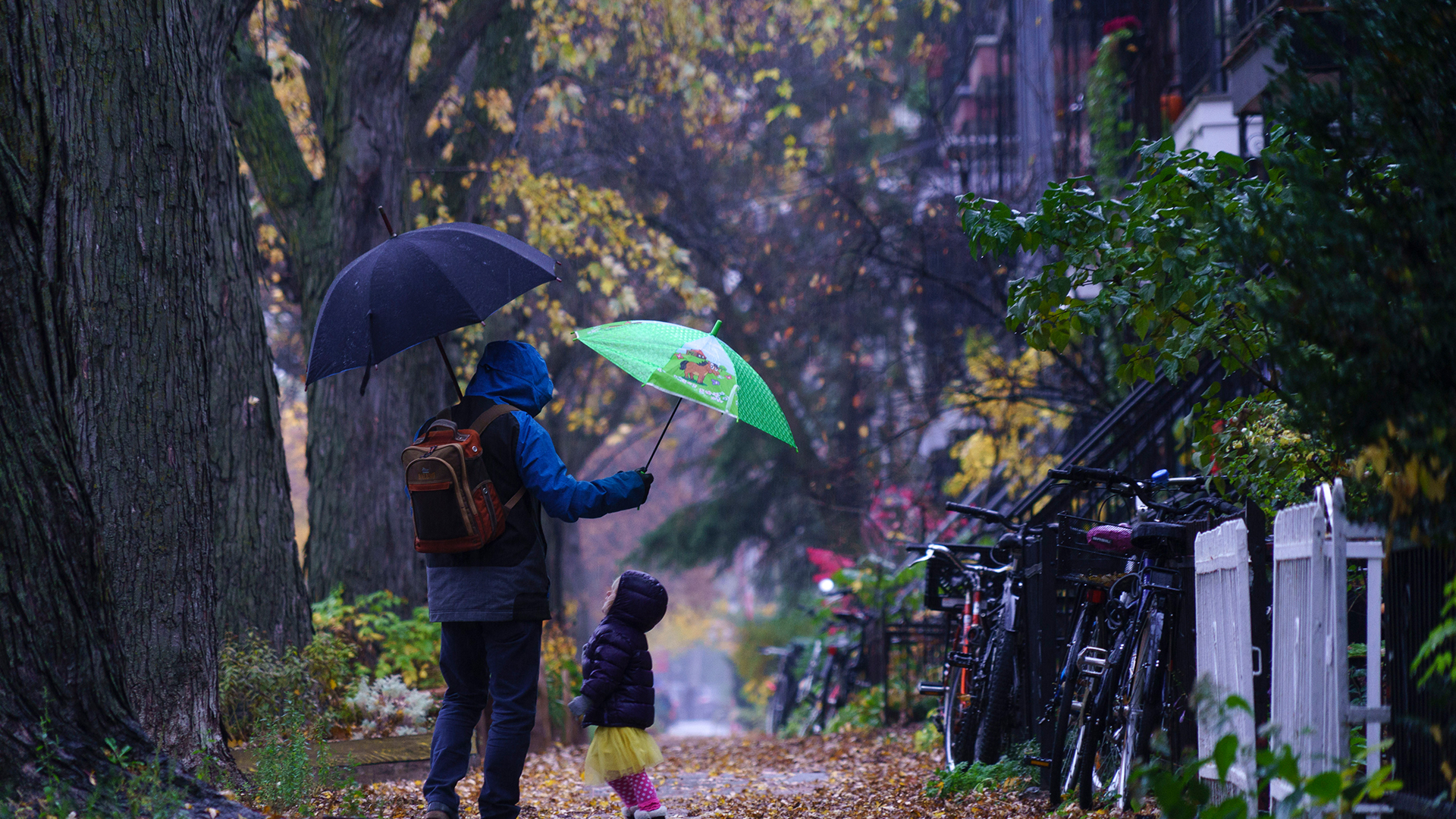 Image for What should Quebec do with $900 million in parental leave surpluses?