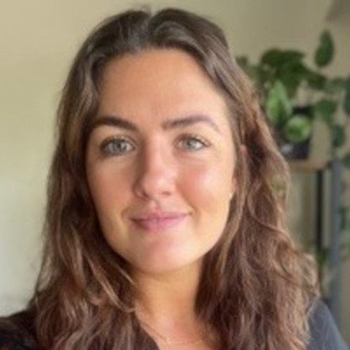 Author avatar