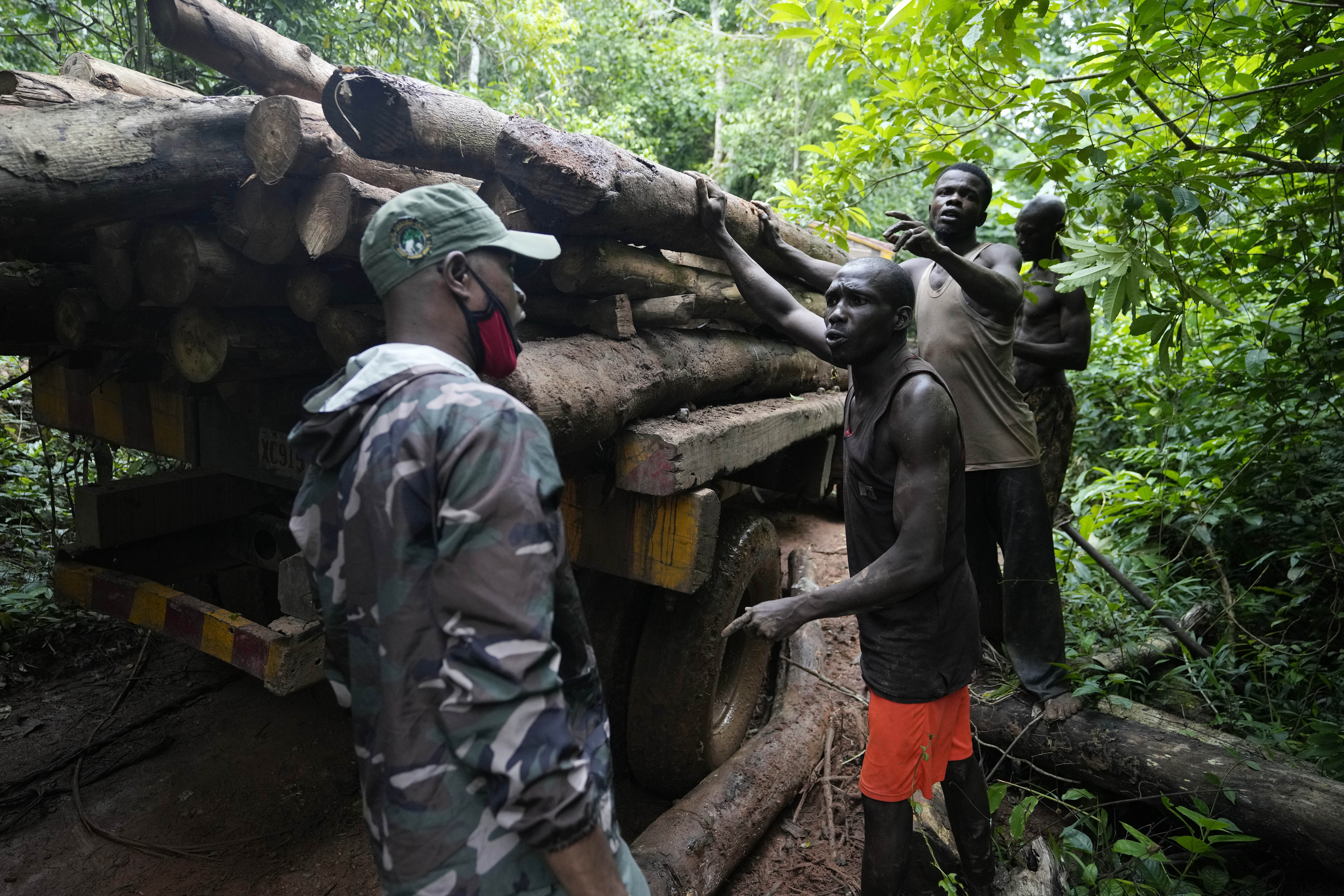 Three men have their hand on a load of logs on a truck. The ranger is in camouflage and a khaki ball cap. The road is red dirt, the surrounding trees thick all around.