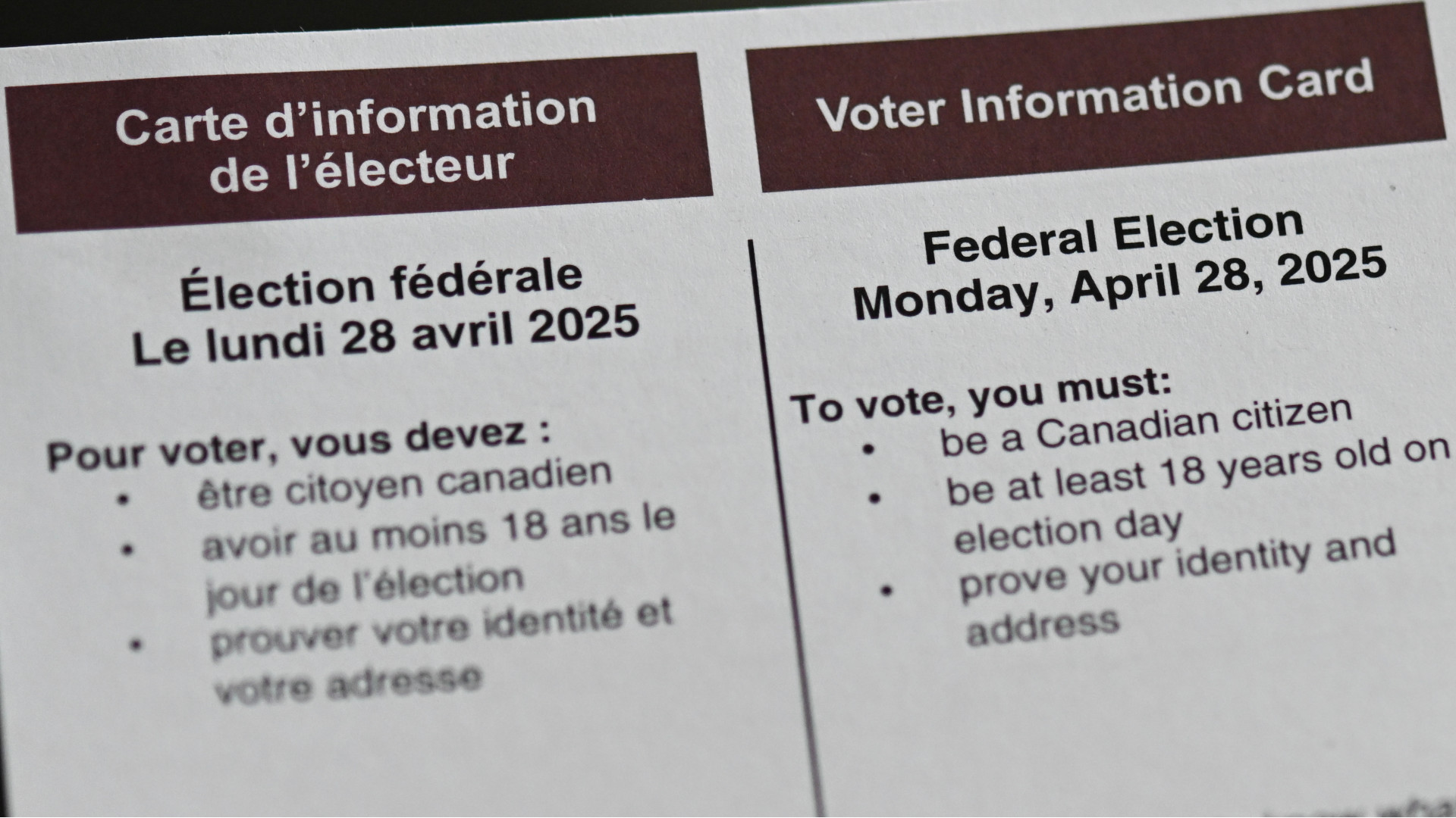 Image for Promesses électorales : croyez-les!
