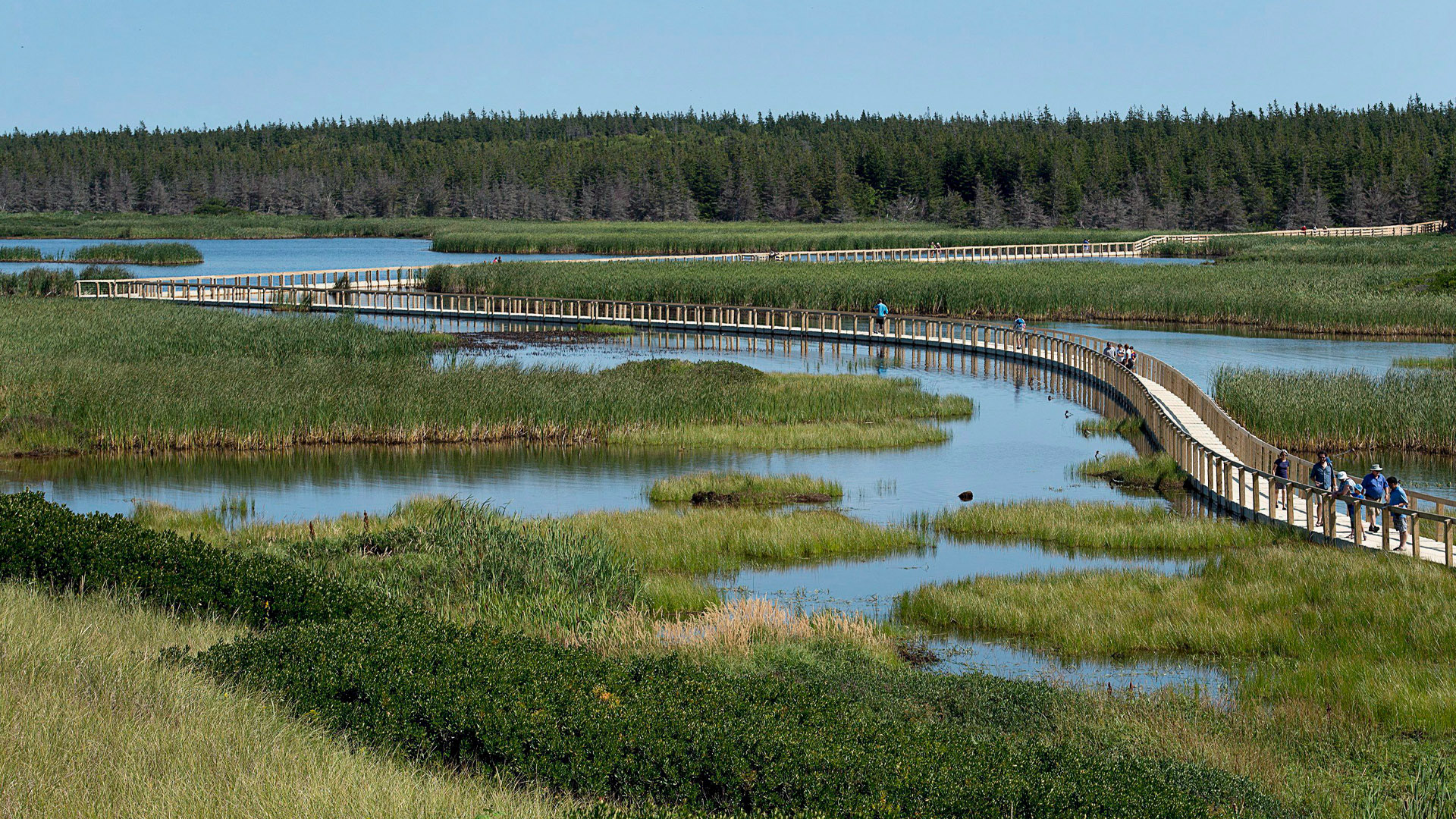Image for Canada’s natural capital is a key in the Trump era but requires a new approach