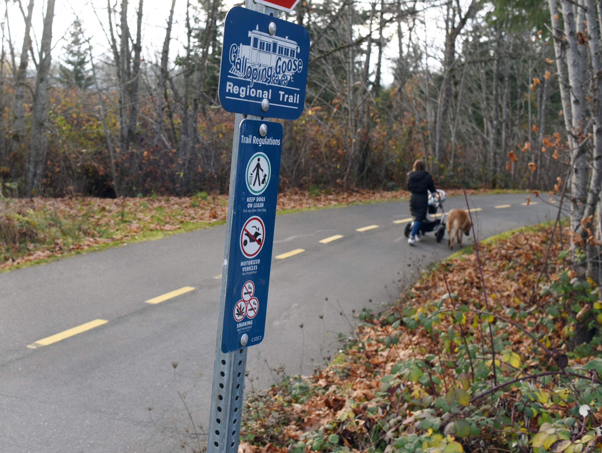 A woman is pushing a stroller as she walks a dog on the paved trail, which has a dotted yellow line painted down the middle of it.