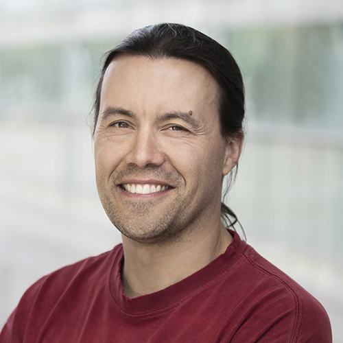 Author avatar