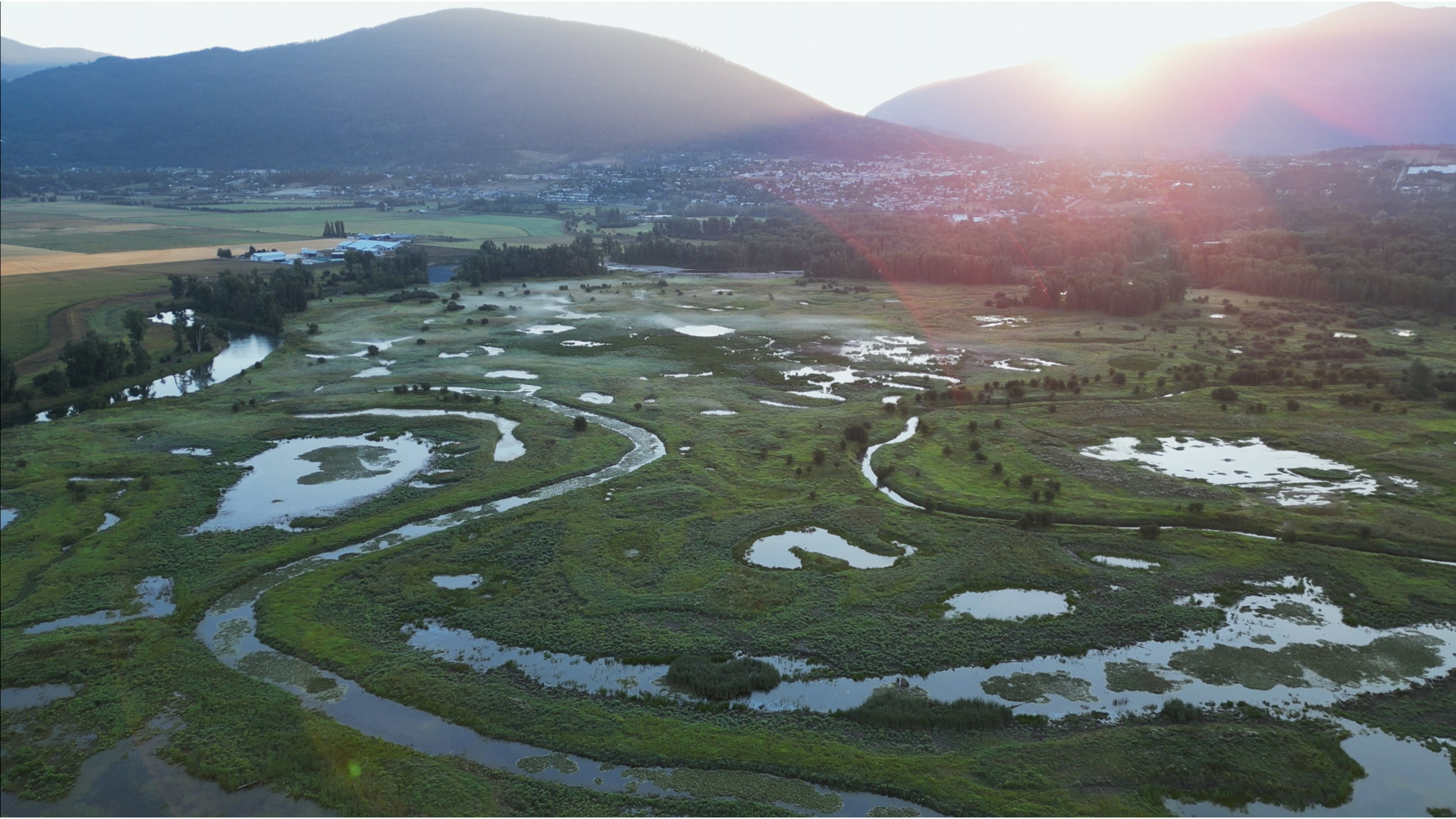 Image for Canada must improve environmental reviews to speed major projects