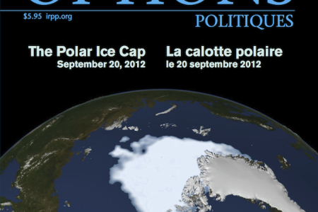 Image for The Polar Ice Cap